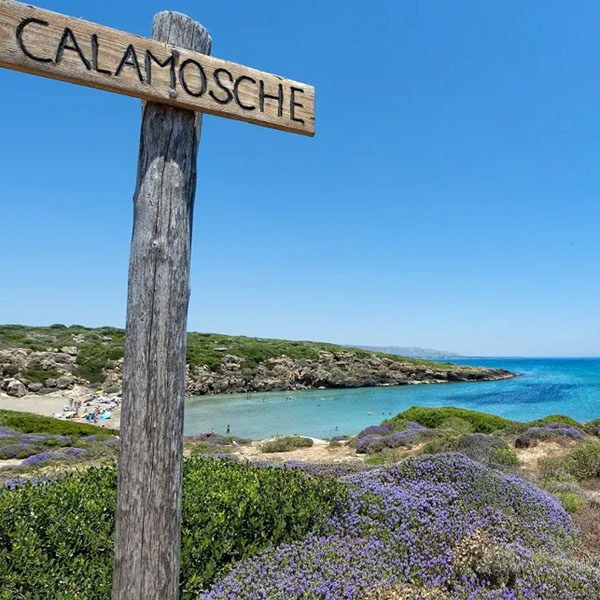 riserva di vendicari spiaggia calamosche
